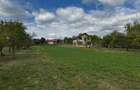 Teren intravilan construibil 4.149 mp, 28 m front – Ogretin (Drajna), utilități - 10
