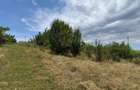 Teren in Goruni comuna Tomesti 12 km de rond Podu Ros - 4