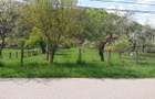 Casa si 3919 mp teren intravilan  in  Bucuresci, jud. Hunedoara - 5