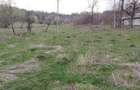Teren de vanzare Bisoca - 5