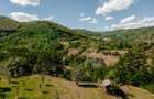 Teren de vanzare 5.100 mp, in localitatea Marun?i?u, ora? Patarlagele Ideal pentru casa de vacan?a - 2