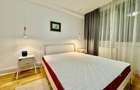 Apartament 2 camere Cornisa UMFST - 5