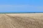Teren 1 ha in Vadu 2 km de mare deschidere 68 m 139.000