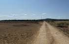 Teren 6.154 mp Sanmartin/Rontau 2 km de Centura Oradea - 3