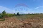 De vanzare teren intravilan 1,628mp - Paleu/Drumul DC 37 - 2