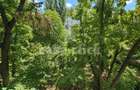 Apartament 4 camere cu balcon mare, etaj 2 si 2 bai in Tiglina 3