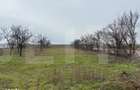 Proprietate cu livada de vanzare 1500mp , aproape de Arad - 6
