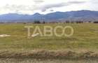 Teren intravilan pretabil hala industriala cu acces la DN - Comision 0