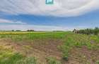 Teren extravilan 5000 mp, Arad