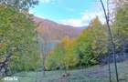 Vand teren cu vedere la lac, Valea Doftanei,Strada Lacului - 4