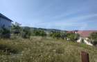 Teren intravilan 25 ari, zona Valea Sigmirului - 3