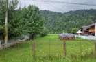 Bucovina Teren Pensiune, Vama, Brazi - 3
