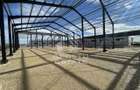 Hala noua cu rampa tir, 540 mpu, Giarmata - 6