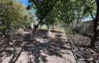 Teren intravilan, 637 mp, zona Sud - Olteni (Lucieni) (Dambovita)