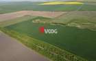 Teren extravilan 10 ha -Giarmata, langa nodul de autostrada - 1