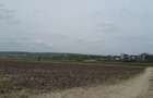 Teren extravilan, Cotofenii din Fata, jud Dolj -id 6954-0... - 2