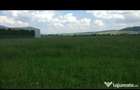 teren intravilan 1,70 ha