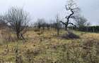 Teren intravilan 1765 mp cu panorama in Cartierul Podgoria