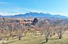 Comision 0%! Teren superb de 17000mp la 5 min de Castelul Bran, 13 eur - 6