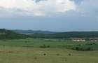 Teren de vanzare in Apoldu de Jos oportunitate investitionala pentru agroturism / camping - 5