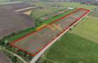Oportunitate de investi?ie Teren industrial/comercial Sanleani - 2