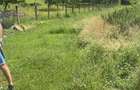 Teren de vanzare intr-o zona de vis *** - 3