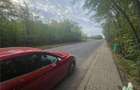 Teren 7500mp in liziera padurii in Dragomiresti-Deal - 3