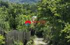 Teren intravilan 1.300 mp in Cornu de Jos, Prahova zona linistita, u - 5