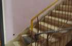 Predeal-Apartament cu doua camere - 5