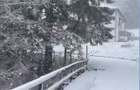 Vila la munte Brasov-Zarnesti, teren 2 hectare, Piatra Craiului, Plaiul Foii, Gym, sauna, jacuzzi - 7
