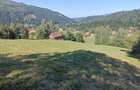 Teren de 8000 mp, în Bran - 4