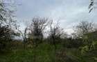Teren 1895 mp, in Carcea, front 21 ml, toate utilitatile - 3