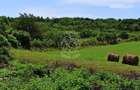 Parcele teren 4038 mp - Parcelabil - Zona Valea Stanelor - 1