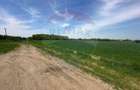 Teren 545,000mp Dragomiresti-Vale - 1