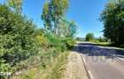 Teren intravilan Carbunari, parcele 11, 20, 22 arii, acces drum public - 4