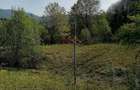 Teren Extravilan 23000 mp-potential turistic Valea Doftanei 8 euro/mp - 4