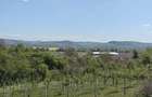 Teren intravilan 1400 m2 in Curteni, Santana de Mure? - la doar 10 minute de centrul Targu Mures - 2