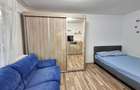 Garsoniera de inchiriat zona Teiul Doamnei - 10