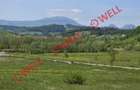 Teren de vanzare in Barcani, pe strada Bisericii! - 4