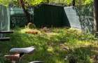 Apartament in vila, renovat, curte ?i boxa, direct proprietar