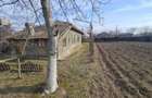 Casa de Vanzare / Sat.Gruiu / Jud.Calarasi - 7