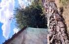 Casa de vanzare in satul ABRUD comuna ADAMCLISI - 2