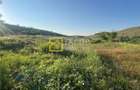Teren Magura str. Intre Vii Islazului 550 mp - 1
