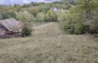 Valea Rumanestilor, str. Rujoi, Campulung, judetul Arges - 2