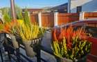 Casa cocheta tip duplex de vanzare in zona spitalului oncologicMedex - 10