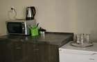 studio strada nicopole - 5