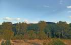 Teren superb cu panorama de poveste Langa padure ?i rau! - 2