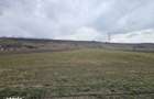 Oportunitate investitie Teren intravilan in Bacau - 5