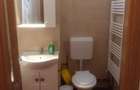 Apartament 2 camere de inchiriat Sinaia - 8