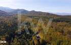 Teren 2.000 mp in Valea Avrigului Padure, apa curgatoare si liniste